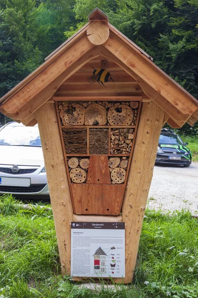 Tahtadaki deliklerden yapılmış böceklere küçük bir ev.