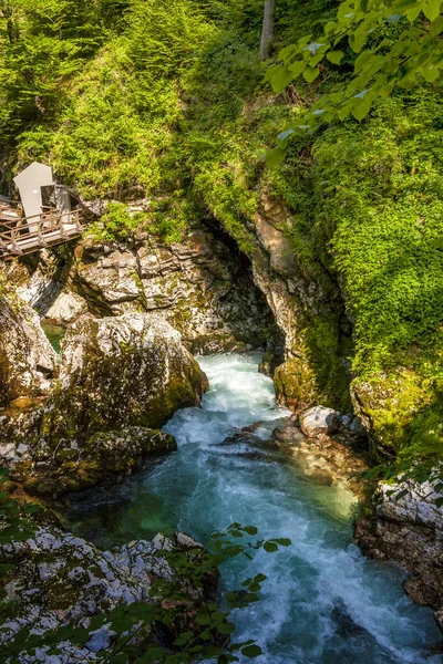 Flussfahrten Auf Einem Schnellen Alpinen Gebirgsfluss — Stockfoto