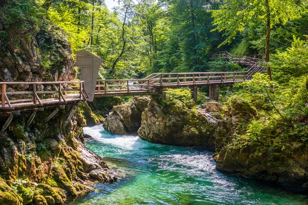 Alp geçidinde yüksek bir dağ nehrinde berrak soğuk su