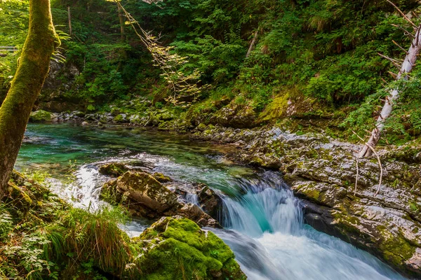 River Rides Fast Mountain Alpine River — Stock Photo, Image