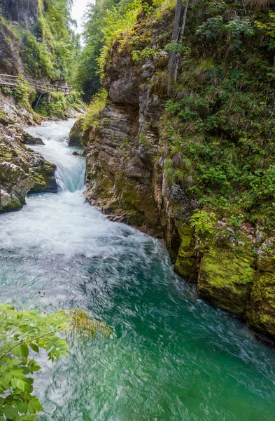 Kristallklares Wasser Einem Gebirgsfluss Einer Alpinen Schlucht — Stockfoto