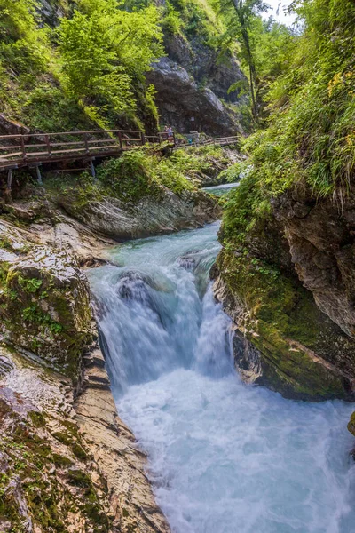 Nehir hızlı bir dağ alp nehrinde yol alır.