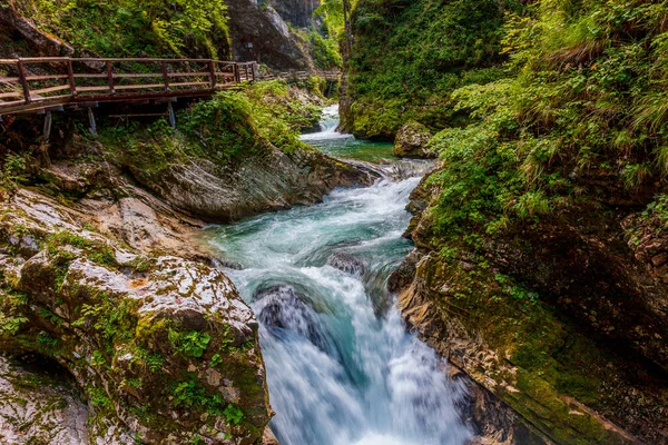 Aguas Cristalinas Río Montaña Desfiladero Alpino — Foto de Stock
