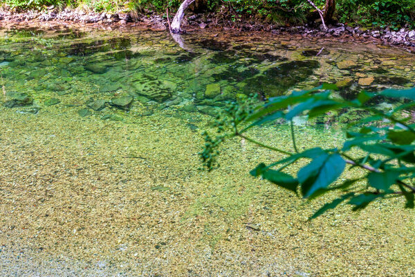 small quiet mountain alpine lake in the green forest