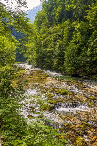 Flussfahrten Auf Einem Schnellen Alpinen Gebirgsfluss — Stockfoto