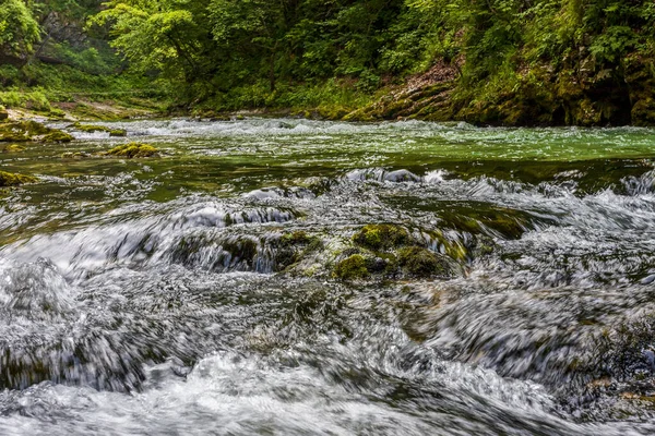 Brodelnde Bäche Einem Gebirgsfluss Einer Alpinen Schlucht — Stockfoto