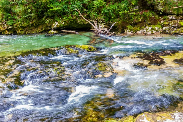 Flussfahrten Auf Einem Schnellen Alpinen Gebirgsfluss — Stockfoto