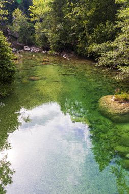 Sabahın erken saatlerinde sık bir ormanda sessiz bir dağ alp gölü.
