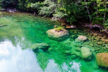 Sabahın erken saatlerinde sık bir ormanda sessiz bir dağ alp gölü.
