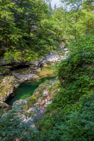 Pequena Montanha Tranquila Lago Alpino Floresta Verde — Fotografia de Stock