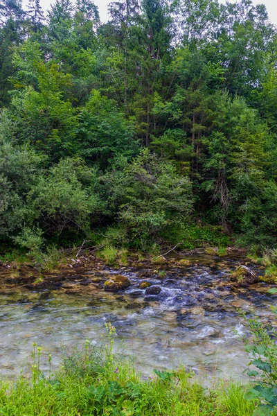 River Rides Fast Mountain Alpine River — Stock Photo, Image