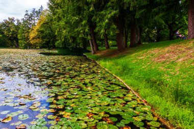 Parktaki dağ gölü mavi gökyüzündeki bulutların arka planına karşı.