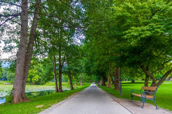 Sonbahar ormanında yol