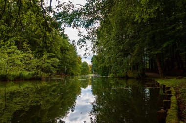 Parktaki sessiz nehir