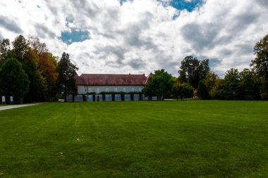 Şehir parkındaki çimlerde yumuşak, yoğun çimenler