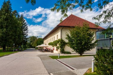 Parktaki restoran binasının üzümleri.