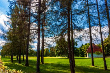 Mavi gökyüzünde beyaz bir bulut