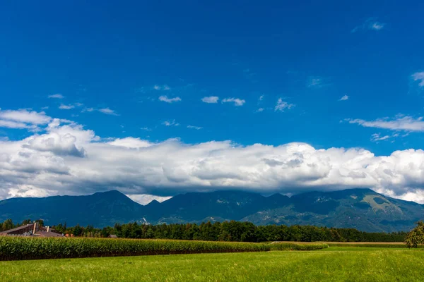 Nuage Blanc Dans Ciel Bleu — Photo