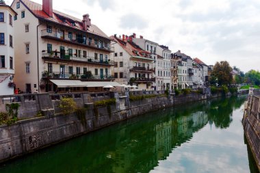 Ljubljana şehrindeki Ljubljanica nehrinin seti.