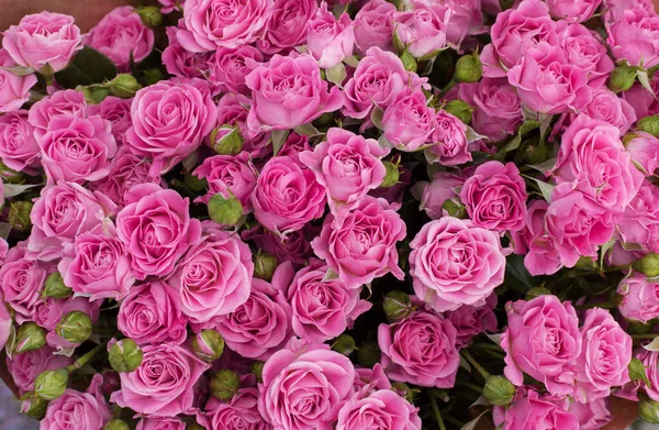 Букет Розовых Роз Цветочный Фон — стоковое фото