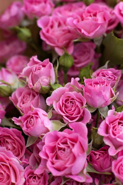 一束粉红色的小玫瑰凑近了 花卉壁纸 — 图库照片