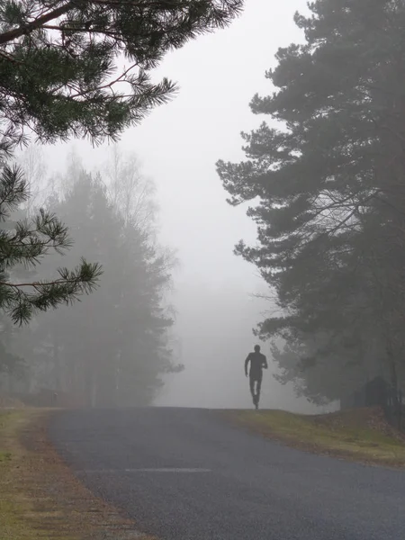 Forest road in the fog and a silhouette of a man