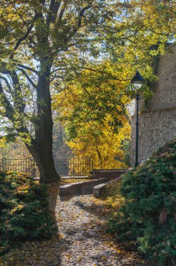 Prague, kent manzaralı, gezi, seyahat, cityscape