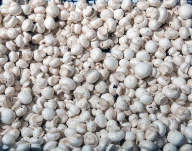 doku, mantar, petrol, soslar konteynerler