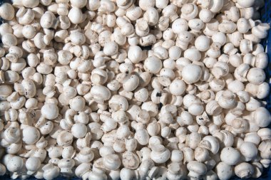 doku, mantar, petrol, soslar konteynerler