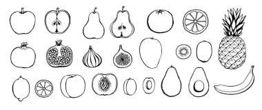 Vektör el çizimi meyve simgesi ayarlandı. Dekoratif retro tarzı koleksiyon tarım ürünü restoran menüsü, pazar etiketi.