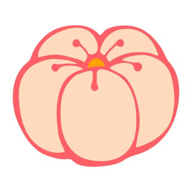 El yapımı Japon tatlıları, tatlılar, wagashi. Beyaz arkaplanda vektör rengi çizimi.