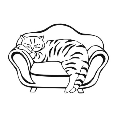 Kedi kanepede. Kanepede evcil bir hayvanla el çizimi vektör çizimi. Etkileyici grafik baskı ve tasarım öğesi. Poster, kart, çıkartma, tekstil baskısı, tişört baskısı, el ilanı için mükemmel..