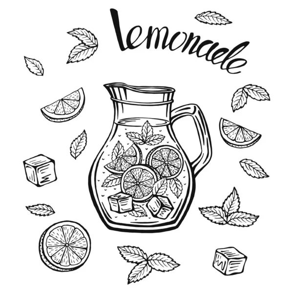 Glas Kanna Med Lemonad Skiss Hemlagad Lemonad Sommar Illustration Handritad — Stock vektor