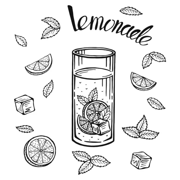 Glas Kanna Med Lemonad Skiss Hemlagad Lemonad Sommar Illustration Handritad — Stock vektor