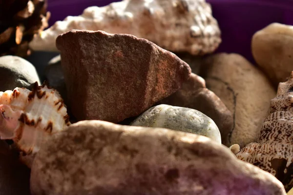 Pierres Coquillages Dans Une Boîte — Photo