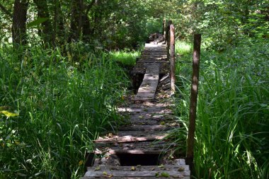 Bataklığın üzerindeki eski, yıkık köprü