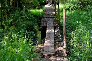 Bataklığın üzerindeki eski, yıkık köprü