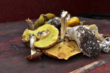 Masanın üzerinde bir sürü mantar var.