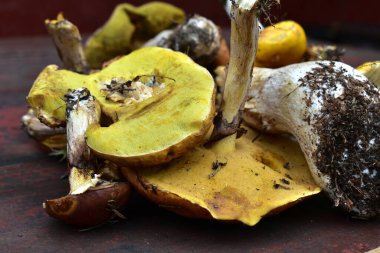 Masanın üzerinde bir sürü mantar var.