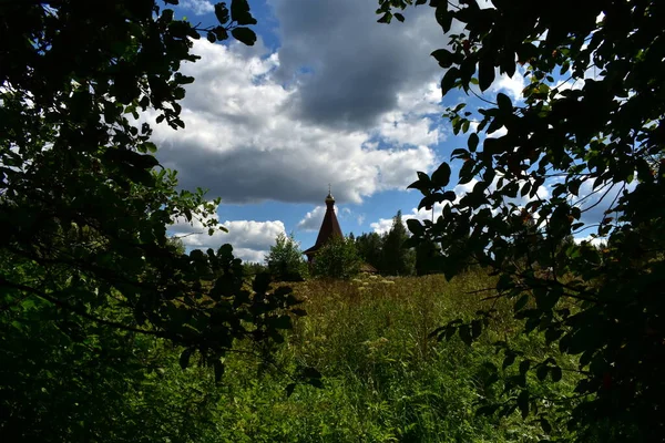 Ormandaki bir açıklıkta kilisenin çatısında.