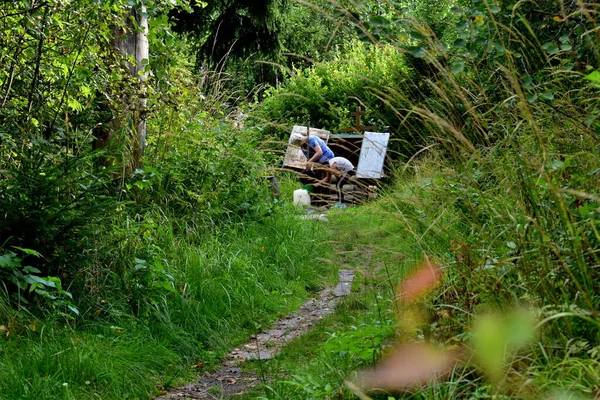 Köylüler bir orman kuyusundan su topluyor.
