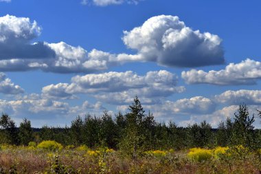 Ağustosta bulutlu bir arazide araba penceresinden manzara