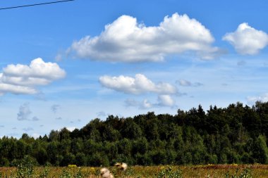 Rusya 'daki ormanlık arazide bulutlar
