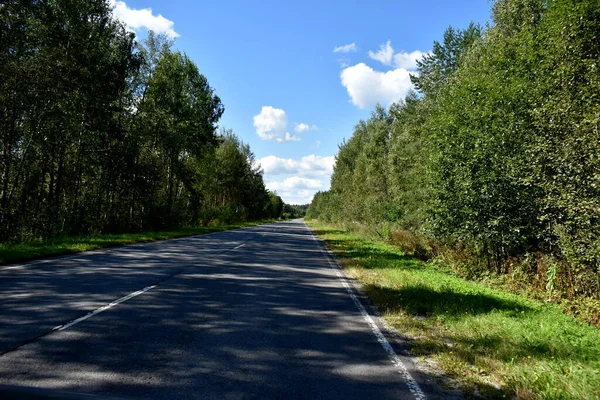 Straße Russischen Wald — Stockfoto