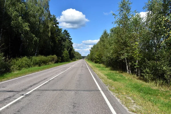 Droga Asfaltowa Rosyjskim Lesie — Zdjęcie stockowe