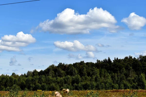 Rusya 'daki ormanlık arazide bulutlar