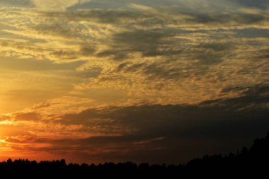 Gün batımında ormanda bulutlar