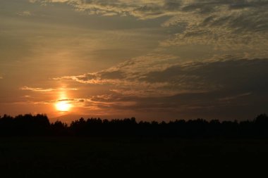 Ormanın üzerinde günbatımının kontrastlı fotoğrafı