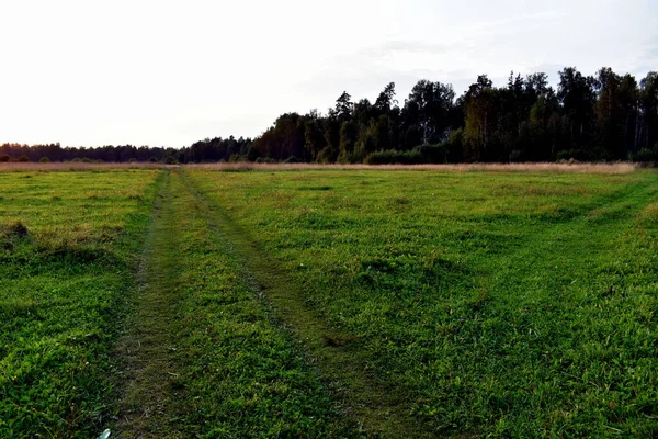 Zwei Landstraßen Einem Feld Bei Sonnenuntergang — Stockfoto