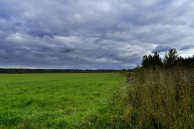 Saha üzerinde katı bulutlar